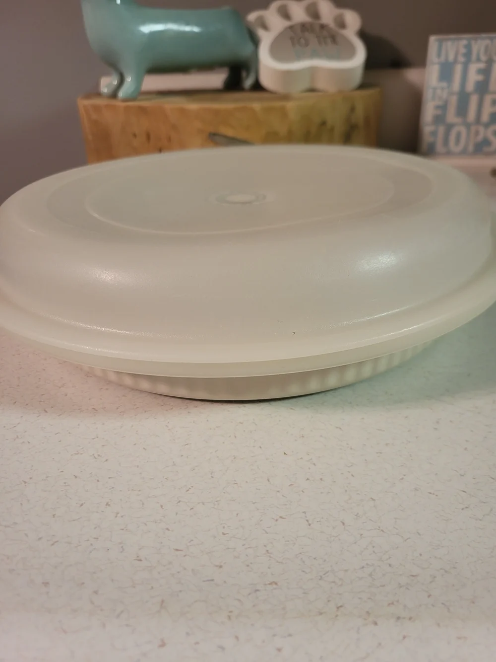 Vintage Tupperware Ultra 21 Ribbed Quiche Pie Pan 9” 1766-2 & Lid 1767-2